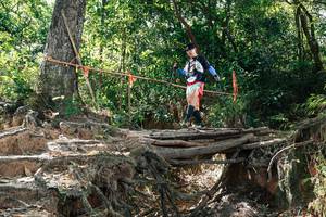 BIB: 
                            <button type="button" onclick="openModal(27800565)" class="btn btn-primary btn-sm float-right btn-popup" data-toggle="modal" data-target=".modal-high-quality">
                        <i class="fas fa-shopping-cart"></i> Add to Cart
                    </button>
                                            <button type="button" onclick="isThisMe(27800565, true)" class="btn btn-success btn-sm float-right btn-popup btn-isme hidden" data-toggle="tooltip" data-placement="bottom" title="นี่คือรูปของคุณใช่ไหม คลิกที่นี่เพื่อเอาเข้าอัลบั้ม">
                        <i class="fas fa-plus"></i> Add to album
                    </button>
                    <button type="button" onclick="isThisMe(27800565, false)" class="btn btn-warning btn-sm float-right btn-popup btn-isnotme hidden">
                        <i class="fas fa-ban"></i> Remove from album
                    </button>